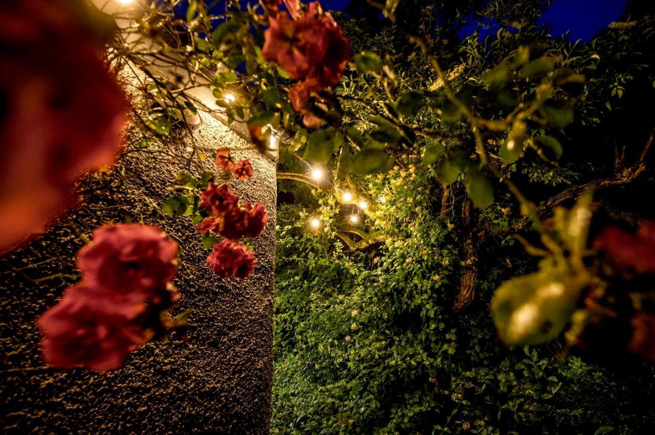 The Woods At Whitepark Bay Villa Ballintoy Exterior photo